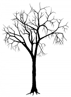 Tree Silhouette Deciduous Clip art - Free Tree Silhouette 1771*2400 ...
