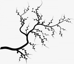 Branches, Sketch, Black, Plant PNG Image and Clipart for Free Download
