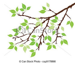 Tree Branch Drawing at GetDrawings.com | Free for personal use Tree ...