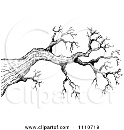 Tree With Branches Drawing at GetDrawings.com | Free for personal ...