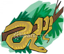 A Brown Snake Coiled Around a Tree Branch - Royalty Free Clipart Picture