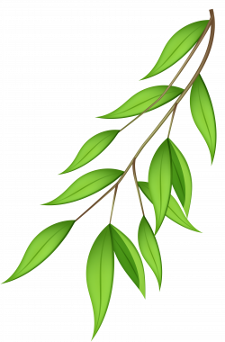 Green Branch PNG Transparent Clip Art Image | Gallery Yopriceville ...