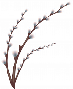 Easter Willow Tree Branch Transparent PNG Clip Art Image | Gallery ...