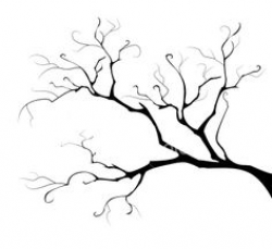 Deciduous Bare Tree with Empty Branches Black Silhouette isolated on ...