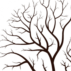 Tree Limb Silhouette at GetDrawings.com | Free for personal use Tree ...