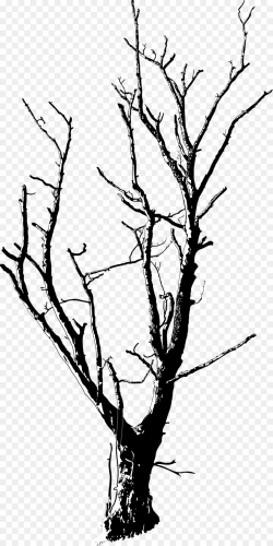 Tree Branch Clip art - twigs png download - 960*1920 - Free ...
