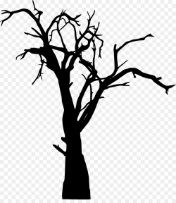 Tree Branch Woody plant Twig Clip art - dead png download - 1321 ...