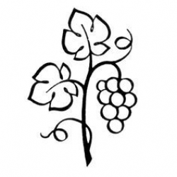 Green Vines & Flower Stock Photo -- https://thumbs.dreamstime.com/z ...