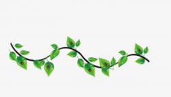 Vines, Cartoon, Branches And Leaves PNG Image and Clipart for Free ...
