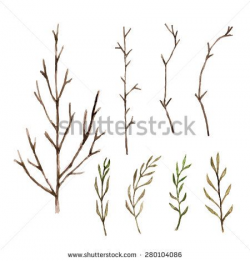 Tree Branch Watercolor Stock Photos, Images, & Pictures ...