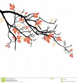Tree Branches Drawing at GetDrawings.com | Free for personal use ...