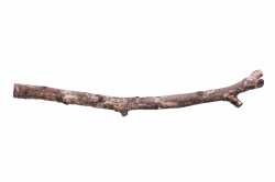Wooden stick | Bradly's Double 7 Wiki | FANDOM powered by Wikia