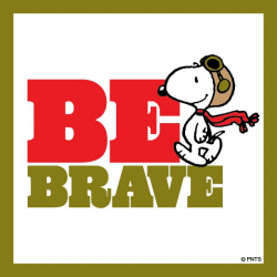 78 best Snoopy Flying Ace images on Pinterest | Peanuts snoopy ...