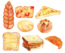 230 best Bread, toast, crackers and sandwiches illustrations images ...