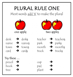 7 best Plurals images on Pinterest | Spelling rules, Plural rules ...