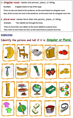 Copy Of Singular And Plural Nouns - Lessons - Tes Teach