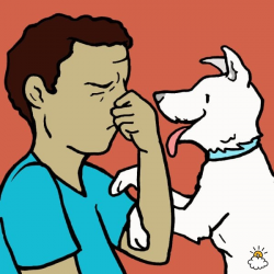 Canine Bad Breath Can Actually Be A Sign Of THIS Hidden Disease. I ...