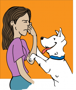 Dog Bad Breath: The Best Advice You Could Ever Get | SimpleWag