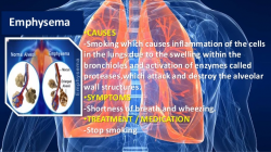 The Respiration and the Problems of Respiratory System