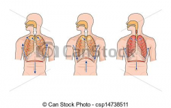 breathing (inhalation and | Clipart Panda - Free Clipart Images