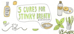 5 Simple Ways to Cure Stinky Breath « The Secret Yumiverse ...