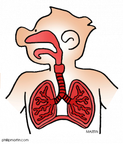 Respiratory Clipart