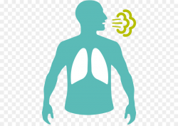 Respiratory rate Clip art Respiration Breathing Respiratory ...
