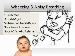 Wheezing and noisy breathing seminar