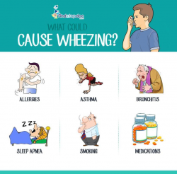 What Could Cause Wheezing? [Infographic]