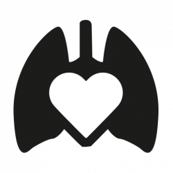 QS+ACTIVE™ | Emfit QS | Sleep Monitor with Heart Rate Variability (HRV)