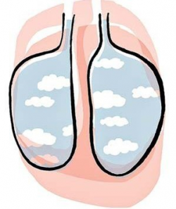 The Benefits of Breathing - Real Simple