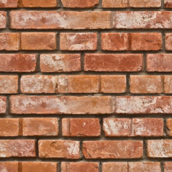 Realistic Bricks Removable Wallpaper | Bricks, Wallpaper and Drywall