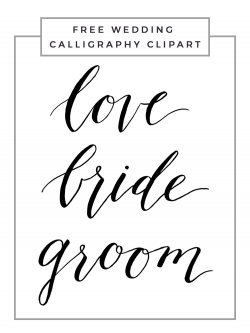 Calligraphy – Owl Ink