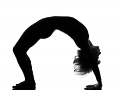 28+ Collection of Clipart Gymnastics Poses | High quality, free ...