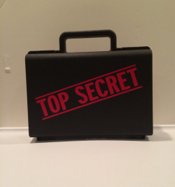 Top Secret Case Secret Agent Ring Bearer Gift Ringbearer