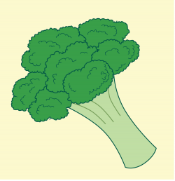 File:Broccoli clip art.svg - Wikimedia Commons