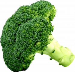 Clipart - Broccoli