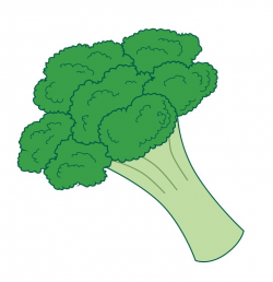 Broccoli Clipart | Free download best Broccoli Clipart on ClipArtMag.com