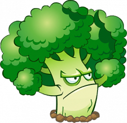 Image - Broccoli HD.png | Plants vs. Zombies Wiki | FANDOM powered ...