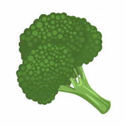 Food Broccoli Icons PNG - Free PNG and Icons Downloads