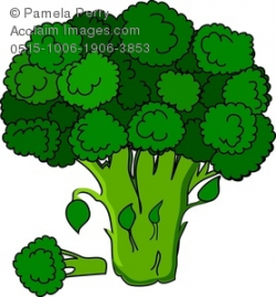 Clip Art Illustration of a Broccoli Crown
