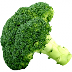 Broccoli clipart, cliparts of Broccoli free download (wmf ...