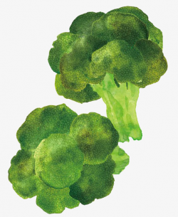 Cartoon Broccoli, Broccoli, Vegetables, Green PNG Image and Clipart ...