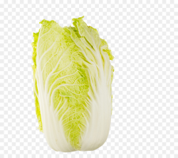 Chinese cabbage Romaine lettuce Napa cabbage Chinese cuisine ...