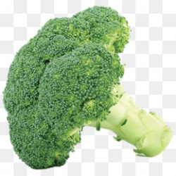 Broccoli Cabbage Vegetable Cauliflower Clip art - broccoli png ...