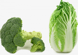 Broccoli Cabbage, Broccoli, Chinese Cabbage, Vegetables PNG Image ...