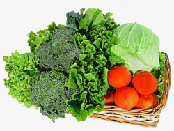 Broccoli Vegetables, Broccoli, Chinese Cabbage, Tomato PNG Image and ...