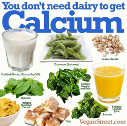 34 best Food - Calcium images on Pinterest | Baby foods, Calcium ...
