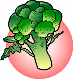 Broccoli Clip Art - JoBSPapa. | Clipart Panda - Free Clipart Images