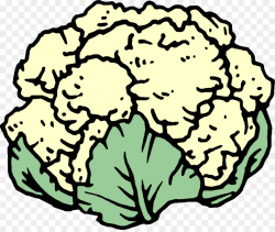 Cauliflower Broccoli Cabbage Clip art - Cauliflower png download ...